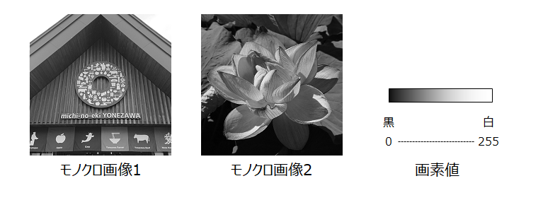 モノクロ画像説明