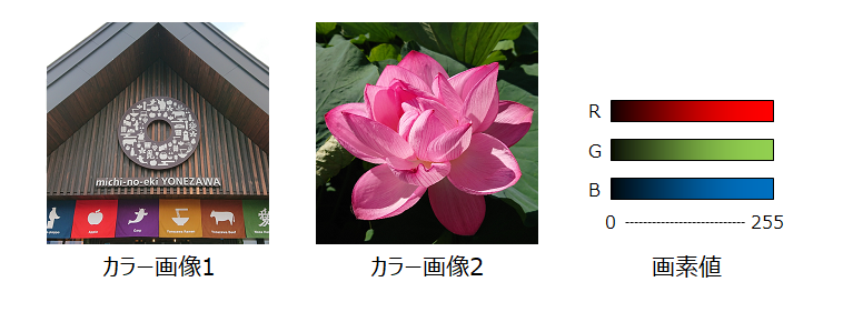 カラー画像説明