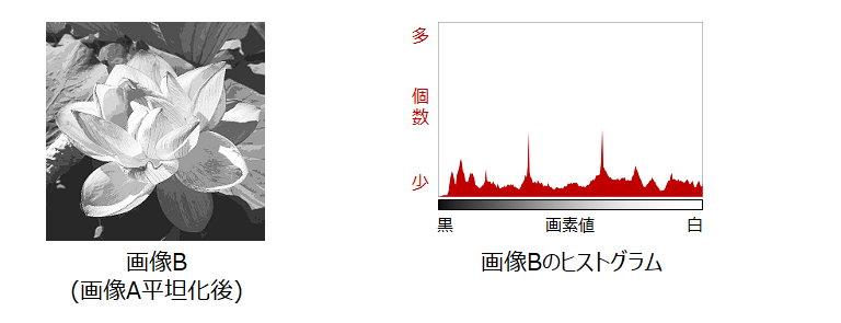 画像とヒストグラム平坦化後_2