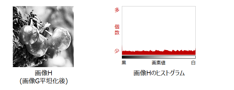 画像とヒストグラム平坦化後_4