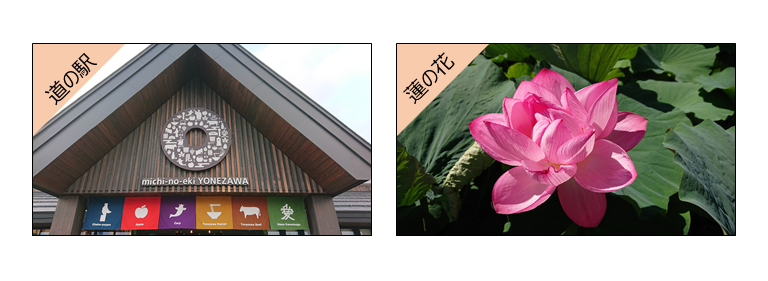 道の駅&蓮の花