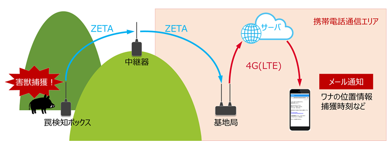 ZETA-IMG_2