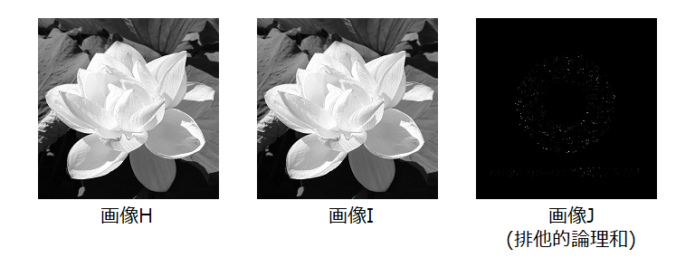 適応的2値化_sample_2
