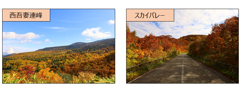 米沢