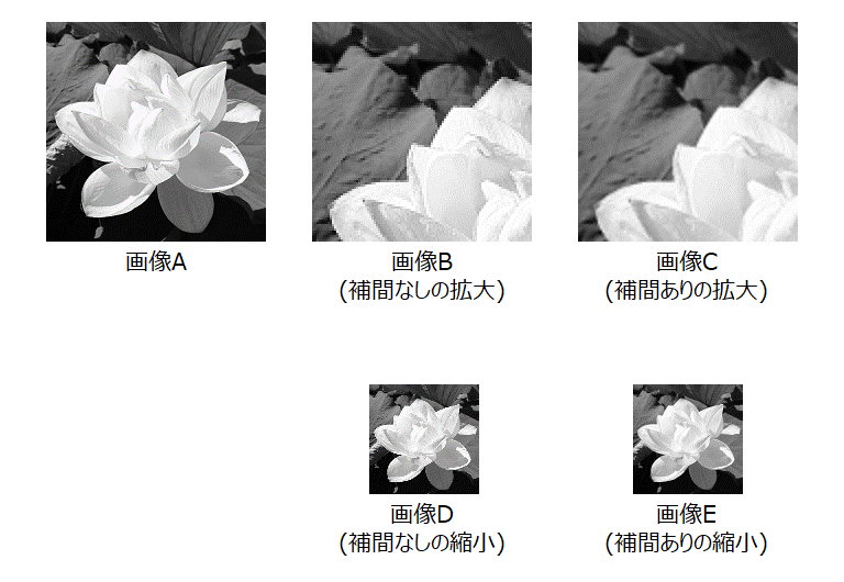 拡大・縮小・補間