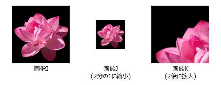 拡大・縮小・補間