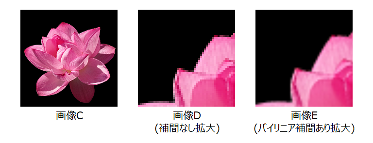 拡大・縮小・補間