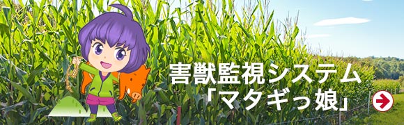 害獣監視システム「マタギっ娘」